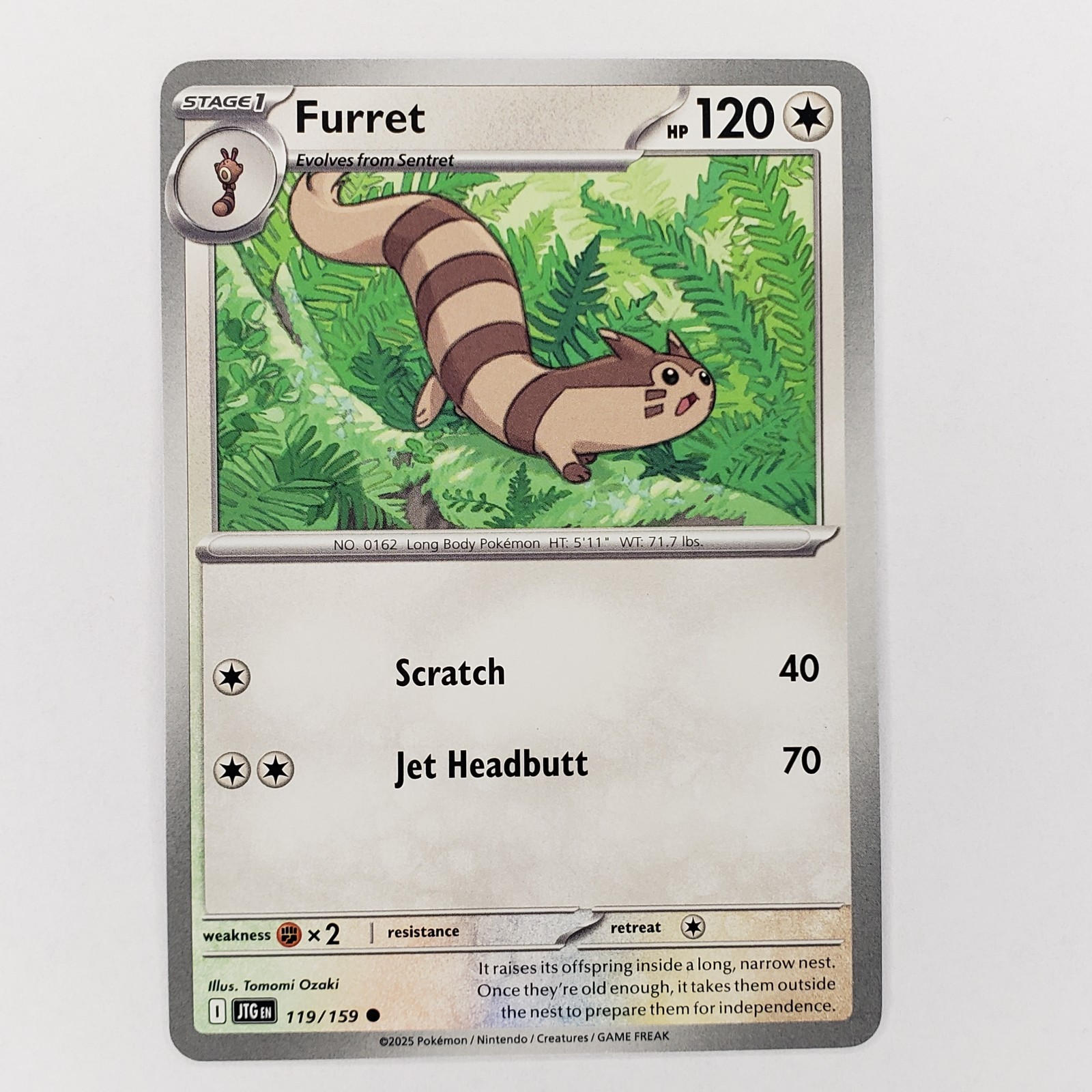 Furret 119/159 Sv09: Journey Together Regular - NM