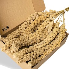 Natural Spray Millet Treats for Birds, Parakeets, Cockatiels, Budgies, Finches