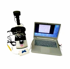 Canine Computer Assisted Sperm Analysis System 
