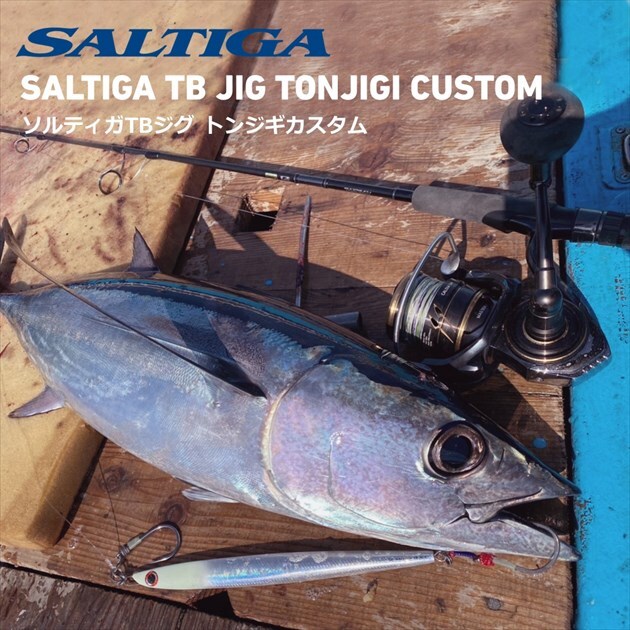 Daiwa SALTIGA TB JIG Tonjigi Custom 400g Adele parallel glow head Metal Jig - Image 2