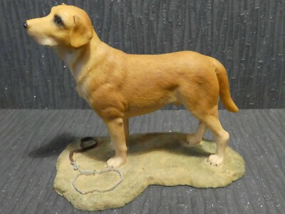 GELBE MÄNNLICHE LABRADOR FIGUR ORNAMENT AUS AYNSLEY MASTER CRAFT ENGLAND 1984