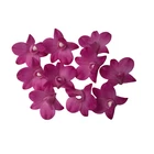10 PCS Dendrobium Hybrids Orchid Clay Flower 3.5 cm Craft Supplies