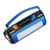 Blitzwolf Autostarter FÜR 12V Motoren Benzin Diesel Powerbank