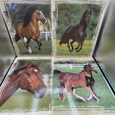 Vintage 2004 Mead Horse Portfolio Folders Set of 4 Bob Langrish Photography - Image 1 of 4