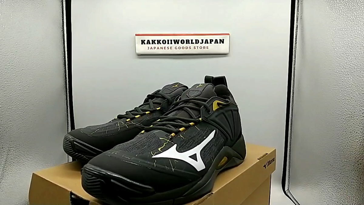 Mizuno Volleyball Shoes WAVE MOMENTUM 2 V1GA2112 41 Black x Gold
