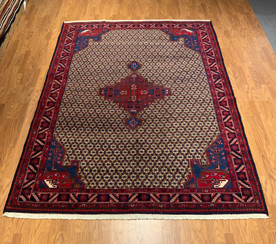 6.11 x 9.9 Vintage Hand Knotted 100% Wool Vegetable Dye Area Rug