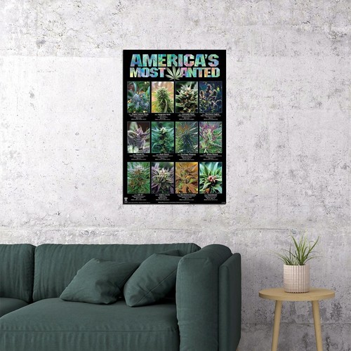 638420 America's Most Wanted Weed Ganja Marijuana Pot Smoking Wall Decor Poster - Picture 2 of 7