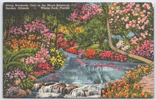 Vintage Florida Mead Botanical Garden Postcard Winter Park Orlando