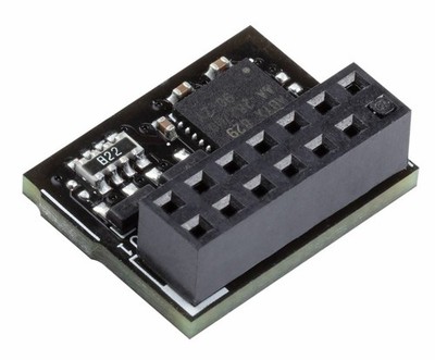 ASUS TPM 2.0 SPI 14 Karte (90MC07D0-M0XBN1)