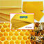 thumbnail 1  - 30PCS/SET Honeycomb Foundation Bee Hive Wax Frames Beekeeping Equipment Kit