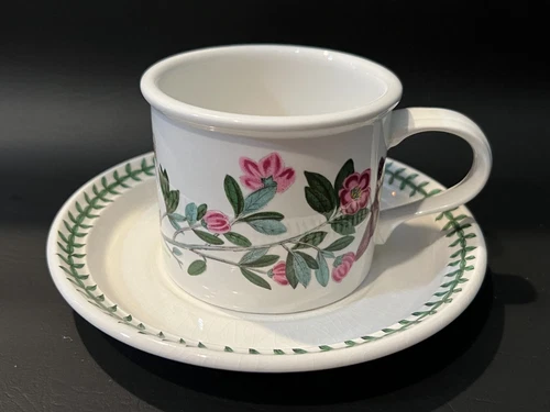 Portmeirion Botanic Garden Broom Lepidotym Rhododendron Drum Coffee Cup & Saucer