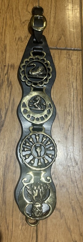 Vintage Horse Brass Medallions Leather Martingale Strap Swan Horse Wheat Skull
