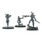 Fallout: Wasteand Warfare Raiders - Disciples Leaders (New)