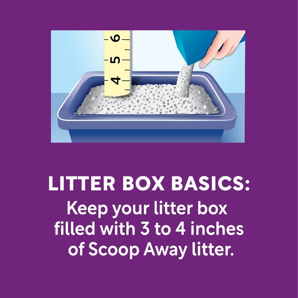 Clumping Cat Litter with Instant Odor Control and Fresh Clean Breeze Scent 25 lb