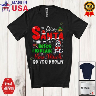 Santa Before I Explain; Christmas Husky Santa Naughty; Snowing Family T-Shirt