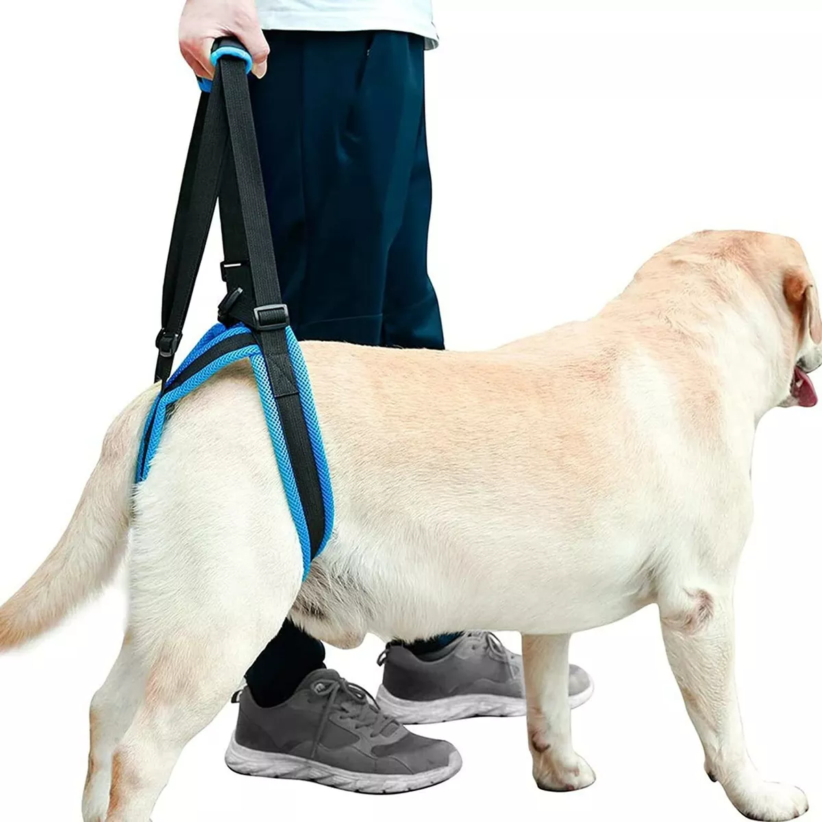 Dog lifting cheap harness