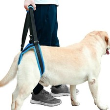 ROZKITCH Pet Dog Support Rear Lifting Harness Veterinarian Approved  Small