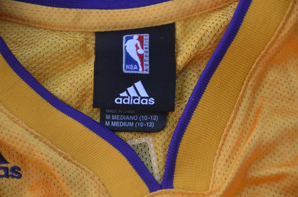 Jordan Swingman Jersey (Lakers) M