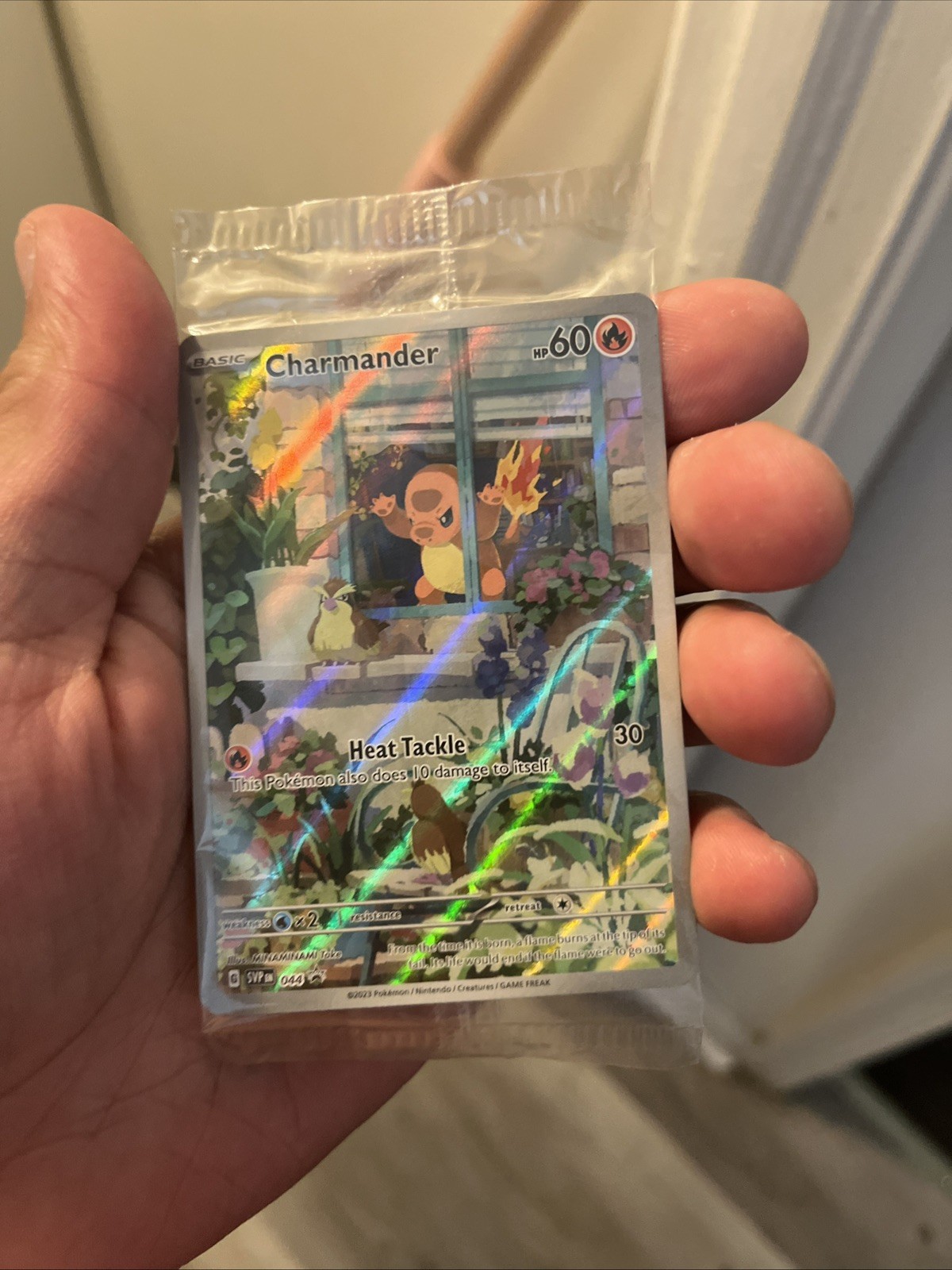 Pokemon Charmander 044 Sv: Scarlet & Violet ETB Promo Black Star Sealed