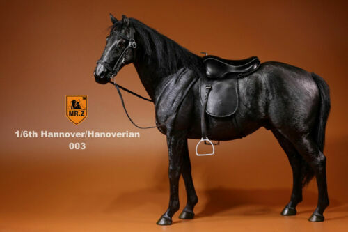 Figura MrZ 1/6 Alemania Hannover Caballo Hannover Animal Modelo Escala 12" EN STOCK - Imagen 32 de 46