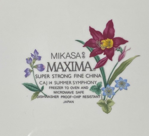 Beautiful Set of 2 Mikasa Maxima CAJ14 Summer Symphony Dinner Plates - Picture 3 of 3