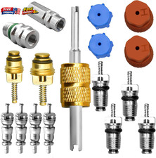 CANIPHA 17 Pcs AC Valve Core Kit R12 to R134a Conversion Kit with Removal Tool