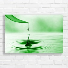 Nature-inspired Water Drop Leaf Bathroom  Bliss Canvas Print Large Picture Wall