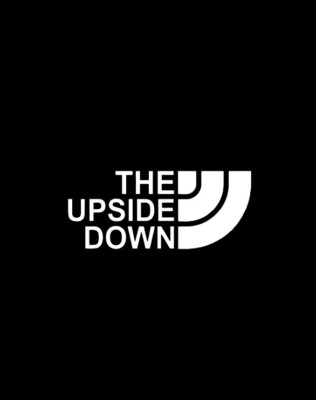 THE UPSIDE DOWN x2 Sticker Decal Vinyl Car Van 4x4 JDM DUB EURO Stranger Things 