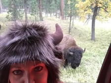 BUFFALO HAT/Fur/Plush/BILLS/Bulls/NDSU Bison/CU Boulder Bison/ADULT 