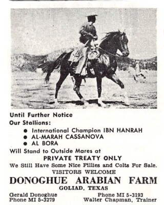 Gerald Donoghue Arabian Farm Goliad TX Standing At Stud Vtg Magazine Print Ad