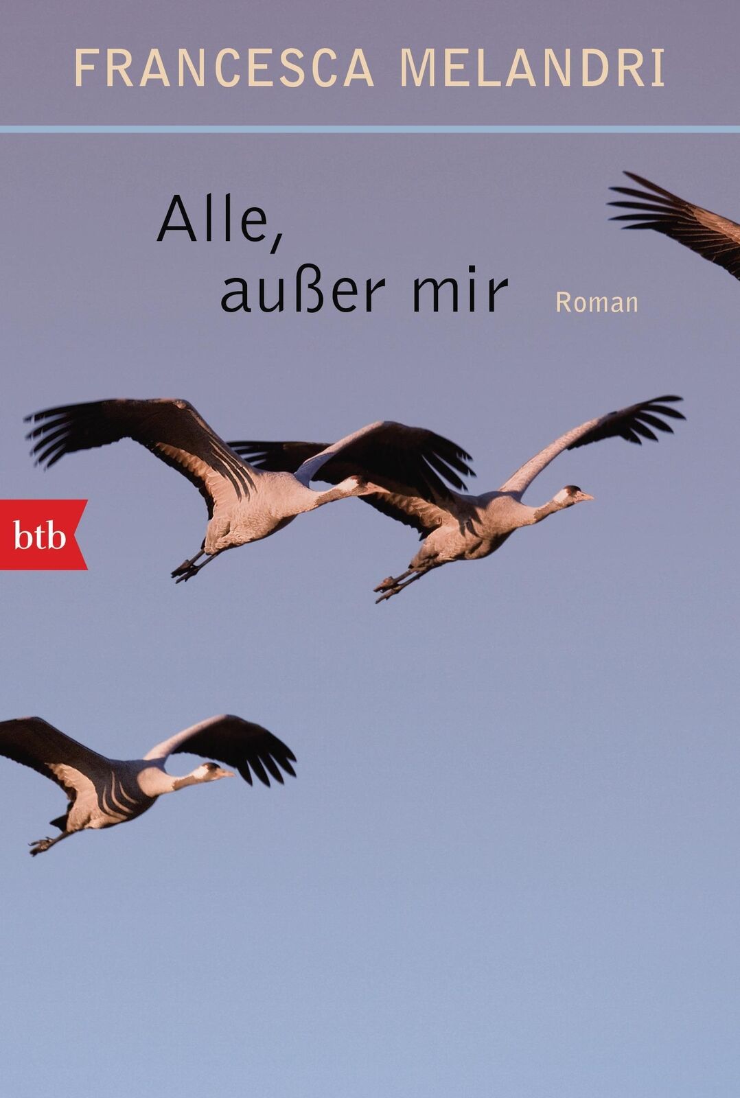 Thumbnail - Alle Außer Mir | Roman | Francesca Melandri | Taschenbuch | 608 S. |