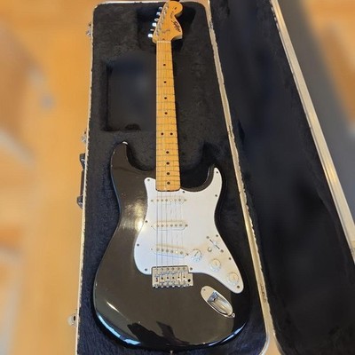 Navigator ESPARTO ストラト　ハードケース付き Navigator ESPARTO Strat hard case Safe Packing! | eBay