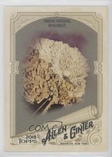 2018 Topps Allen & Ginter Hot Box Marine National Monument #84 5m0