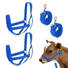 2-Pack Adjustable Cattle Cow Halter, 16.54"-20.47" with Lead Rope [Blue]
