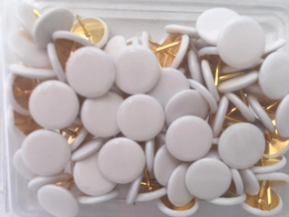 200-PCS White Thumb Tacks Plastic Head Round- Reusable Storage Case 2 pack - Image 4 of 4