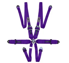6-Point 3" to 2" FHR HANS Rally Race Harness Seat Belt FIA 2030 STR Purple NEW