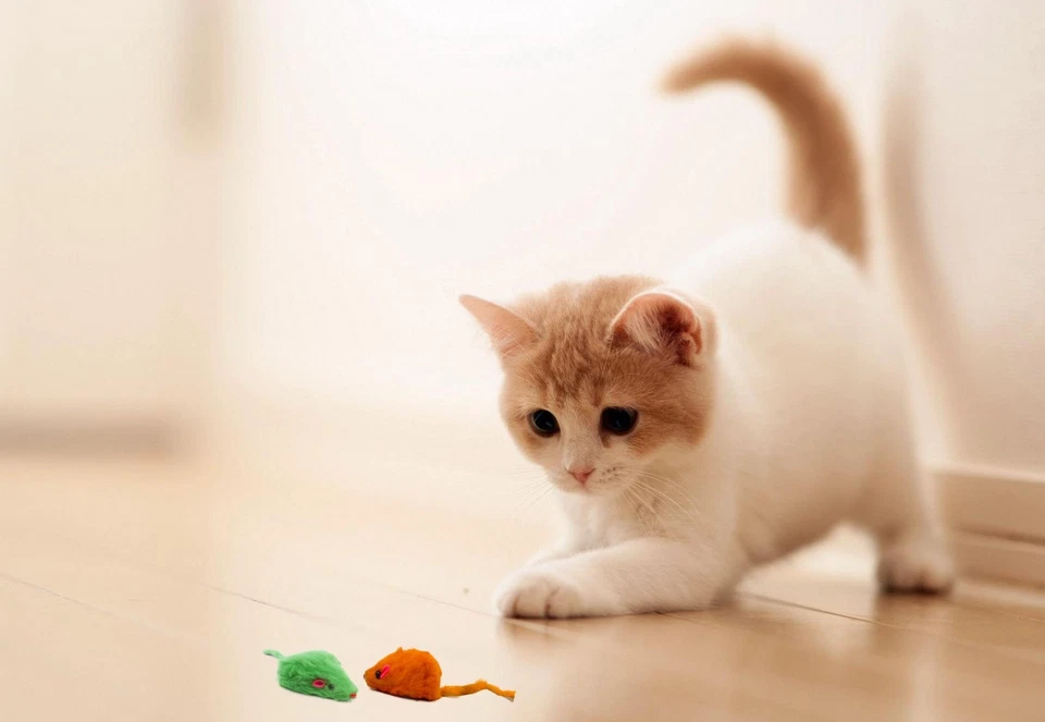 20 Rainbow Mice with Catnip & Rattle Sound Made of Real Rabbit Fur Cat Toy Mouse - Image 4 of 4