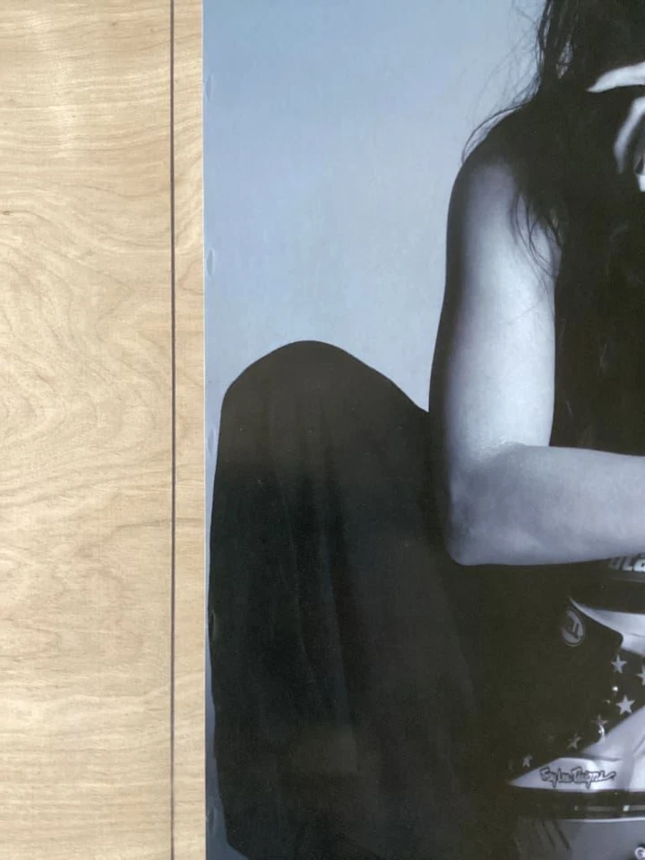 Póster oficial de Danica Patrick Indy Racing League 22,5 x 34 Foto 2 de 3