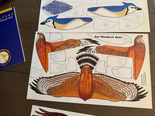 1993 Wild Flyers 7 Authentic Bird Gliders by Michael Vannozzi Cardinal Blue Jay - Picture 13 of 20