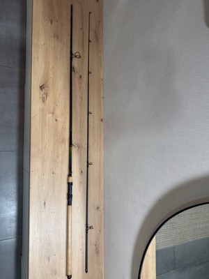 Spro Inspiration TFX-7 Spin 70 Rute 300cm 20-70g