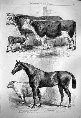 Alter antiker Druck 1863 Royal Agricultural Society Worcester Pferderinder 19.