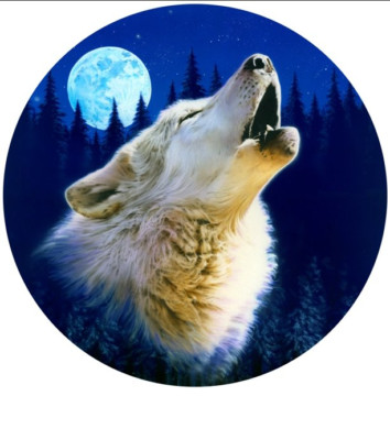 WHITE WOLF HOWL MOON Large Pendant Charm 925 Sterling Silver 20'' necklace Animal
