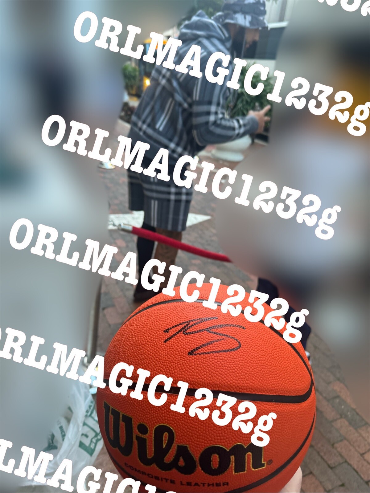 Bild 8 von 9