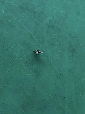 Chaika Calibre 1600 Balance Staff  X 1 New Old Stock Unused  Free Postage’s