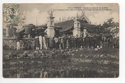 INDOCHINA COCHINCHINA DOSON after the battle of buffaloes, the winner pagoda