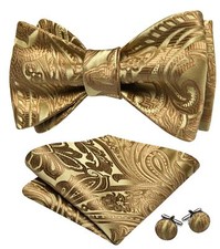 Bow Ties for Men Paisley Self Tie Bowtie Pocket Square Cufflinks Set Classic ...