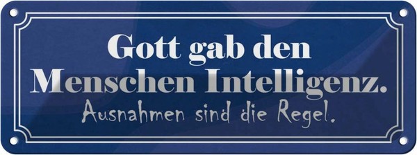 Blechschild 10X27 Cm Gott Gab Menschen Intelligenz Dekoration Spruch Zitat Deko-image