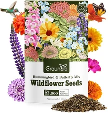 Wildflower Seeds Hummingbird Butterfly Mix 1 oz No Colorful Flowers