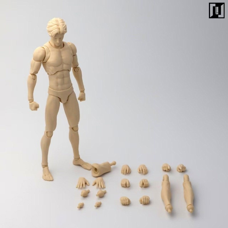 Muscle Joint Body Model 16.2cm