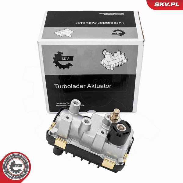 Esen SKV Ladedruckregelventil 95SKV493 FüR BMW 3Er E90 E92 E93 325 330-image